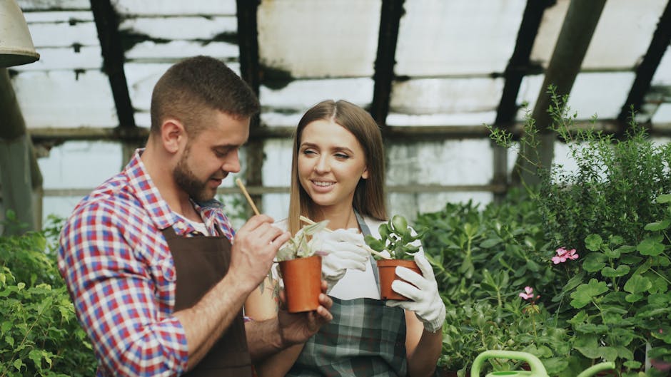 A man and a woman are inside a greenhouse surrounded by lush green plants, including flowering bushes and leafy herbs. The man, wearing a checkered shirt and an apron, is carefully examining a small p