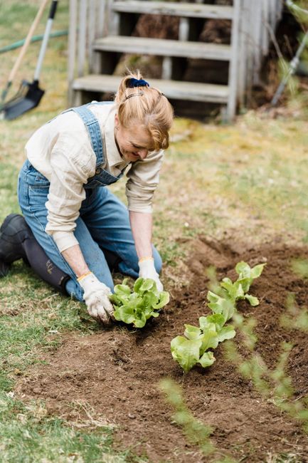 A man and a woman are inside a greenhouse surrounded by lush green plants, including flowering bushes and leafy herbs. The man, wearing a checkered shirt and an apron, is carefully examining a small p